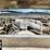 2015-ford-f350-image-25