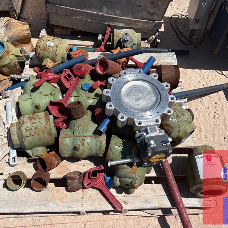 PALLET OF 15 ASSORTED CHECK VALVES