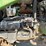 2001-john-deere-4300-image-15