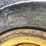 sunflower-5452-image-19