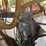 #123-•-automatic-slab-saw-image-6