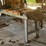 #113-•-live-rollcase-with-side-kickers-image-1