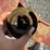 hardi-500-image-5