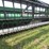john-deere-920-image-10