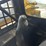 john-deere-250-image-25