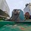 2014-doyle-dry-fertilizer-tender-trailer---kubota-diesel,-3-stainless-compartments,-side-discharge-image-53
