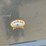 #128-•-creekside-self-dumping-hopper-image-9