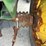 1998-john-deere-5310-image-53