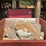 #131-•-self-dumping-hopper-image-5