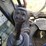 2019-caterpillar-262d-image-3
