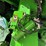 2024-john-deere-s790-image-80