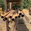 #176-•-steel-pipe-image-3