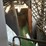 #123-•-automatic-slab-saw-image-8