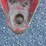 ez-trail-710-image-11