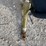 350-lb-capacity-fertilizer-spreader-and-seeder-image-4
