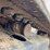 2015-caterpillar-303.5e2-cr-image-11