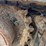 2015-caterpillar-303.5e2-cr-image-15