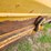 1979-caterpillar-613b-image-40