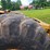 1979-caterpillar-613b-image-33