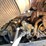 2005-kenworth-t600-image-58