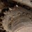 2015-caterpillar-303.5e2-cr-image-10