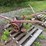 antique-seeder-image-2