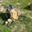 wacker-neuson-pdt3a-image-2