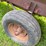 6ft-x-12ft-steel-silage-wagon-image-9