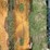 unused-future-skid-steer-mounting-plate-image-1