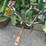 john-deere-3020-image-10