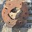 4-jd-wheel-wts-image-1