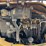 caterpillar-303.5e-cr-image-15