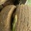 ford-f350-image-7