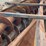 kuhn-knight-rc270-image-46