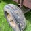 6ft-x-12ft-steel-silage-wagon-image-13