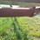 grainking-10x68-swing-away-auger,-540pto,-s/n-4790-image-6