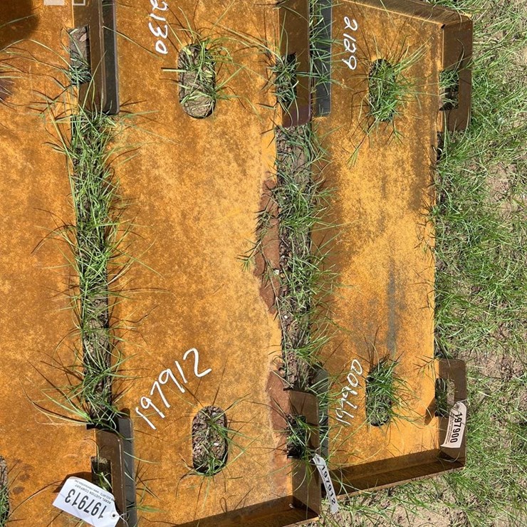 UNUSED FUTURE SKID STEER MOUNTING PLATE