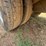 1999-ford-f350-image-5