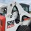 bobcat-s250-image-22
