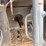 2022-massey-ferguson-1835e-image-12