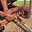 1974-heides-325-bushel-center-dump-gravity-wagon-image-5