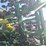 2003-john-deere-1890-ccs-image-11