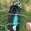 unused-future-hyd-hose-bundle-image-1