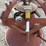 850-lb-capacity-fertilizer-spreader-and-seeder-image-3
