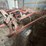 case-ih-1800-image-3