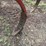 bush-hog-3pt-14-shank-chisel-image-12