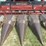 case-ih-1063-image-2