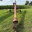 sudenga-8"-x-30ft-truck-auger-image-2