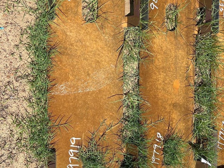 unused-future-skid-steer-mounting-plate-image-1