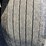 1999-timpte-grain-image-9